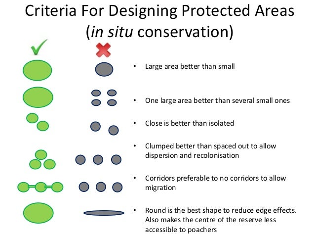 Byron biodiversity conservation strategy