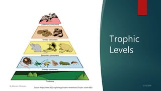 Trophic
Levels
Source: https://www.ck12.org/biology/trophic-level/lesson/Trophic-Levels-BIO/
 