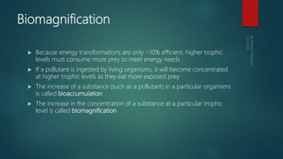 Biomagnification
 Because energy transformations are only ~10% efficient, higher trophic
levels must consume more prey to meet energy needs
 If a pollutant is ingested by living organisms, it will become concentrated
at higher trophic levels as they eat more exposed prey
 The increase of a substance (such as a pollutant) in a particular organisms
is called bioaccumulation
 The increase in the concentration of a substance at a particular trophic
level is called biomagnification
 