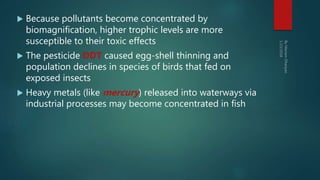  Because pollutants become concentrated by
biomagnification, higher trophic levels are more
susceptible to their toxic effects
 The pesticide DDT caused egg-shell thinning and
population declines in species of birds that fed on
exposed insects
 Heavy metals (like mercury) released into waterways via
industrial processes may become concentrated in fish
 
