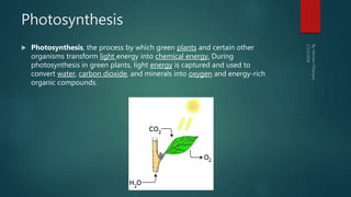 Photosynthesis
 Photosynthesis, the process by which green plants and certain other
organisms transform light energy into chemical energy. During
photosynthesis in green plants, light energy is captured and used to
convert water, carbon dioxide, and minerals into oxygen and energy-rich
organic compounds.
 