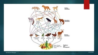 1/23/2018By Mariam Ohanyan Source: https://socratic.org/questions/which-represents-an-ecosystem-better-a-food-chain-or-food-web-why
 
