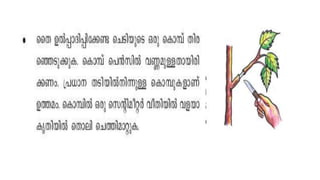 Topic4