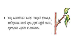 Topic4