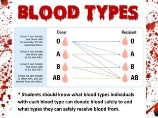 * Students should know what blood types individuals
with each blood type can donate blood safely to and
what types they can safely receive blood from.
 