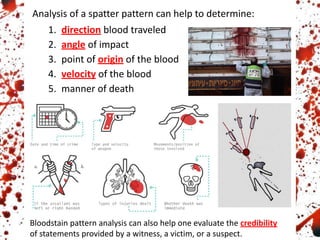 Analysis of a spatter pattern can help to determine:
1. direction blood traveled
2. angle of impact
3. point of origin of the blood
4. velocity of the blood
5. manner of death
Bloodstain pattern analysis can also help one evaluate the credibility
of statements provided by a witness, a victim, or a suspect.
 