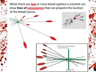 When there are two or more blood spatters a scientist can
draw lines of convergence that can pinpoint the location
of the blood source.
 