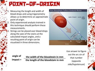 1. Measuring the length and width of
blood drops and using trigonometry
allows us to determine an approximate
point of origin.
2. Only experienced analysts trained in
this technique should perform these
measurements.
3. Strings can be placed over blood drops
along the axes of the stains at the
calculated impact angles, and a
resulting point of origin can be
visualized in three dimensions.
angle of
impact =
the width of the bloodstain in mm
Use answer to figure
out the arc sin of
that number
(opposite
side/hypotenuse)
the length of the bloodstain in mm
 