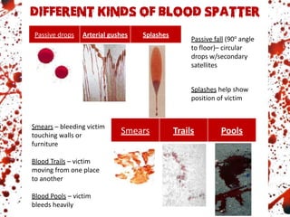 Passive drops Arterial gushes Splashes
Smears Trails Pools
Splashes help show
position of victim
Smears – bleeding victim
touching walls or
furniture
Blood Trails – victim
moving from one place
to another
Blood Pools – victim
bleeds heavily
Passive fall (90o
angle
to floor)– circular
drops w/secondary
satellites
 