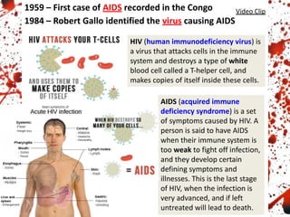 1959 – First case of AIDS recorded in the Congo
1984 – Robert Gallo identified the virus causing AIDS
Video Clip
HIV (human immunodeficiency virus) is
a virus that attacks cells in the immune
system and destroys a type of white
blood cell called a T-helper cell, and
makes copies of itself inside these cells.
AIDS (acquired immune
deficiency syndrome) is a set
of symptoms caused by HIV. A
person is said to have AIDS
when their immune system is
too weak to fight off infection,
and they develop certain
defining symptoms and
illnesses. This is the last stage
of HIV, when the infection is
very advanced, and if left
untreated will lead to death.
 