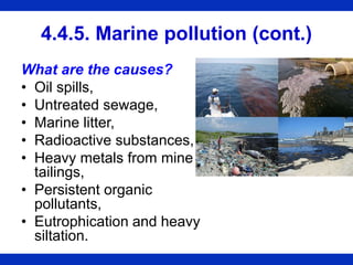 4.4.5. Marine pollution (cont.)
What are the causes?
• Oil spills,
• Untreated sewage,
• Marine litter,
• Radioactive substances,
• Heavy metals from mine
tailings,
• Persistent organic
pollutants,
• Eutrophication and heavy
siltation.
 