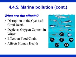 4.4.5. Marine pollution (cont.)
What are the effects?
• Disruption to the Cycle of
Coral Reefs
• Depletes Oxygen Content in
Water
• Effect on Food Chain
• Affects Human Health
 