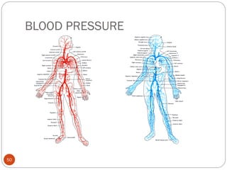 BLOOD PRESSURE
50
 