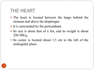 THE HEART
9
 The heart is located between the lungs behind the
sternum and above the diaphragm.
 It is surrounded by the pericardium.
 Its size is about that of a fist, and its weight is about
250-300 g.
 Its center is located about 1.5 cm to the left of the
midsagittal plane.
 