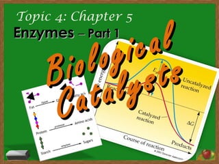 Topic 4: Chapter 5
EnzymesEnzymes –– Part 1Part 1
Biological
Biological
Catalysts
Catalysts
 