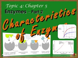 Topic 4: Chapter 5
EnzymesEnzymes –– Part 2Part 2
Characteristics
Characteristics
of Enzymes
of Enzymes
 