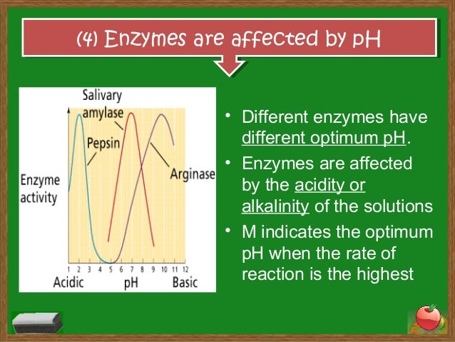 characteristics of enzymes