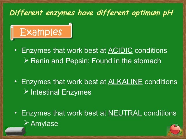 characteristics of enzymes