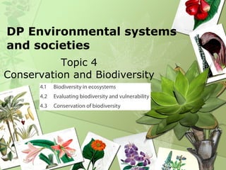 DP Environmental systems and societies ,[object Object]