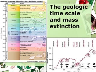 The geologic time scale and mass extinction 