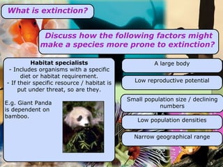 What is extinction? Discuss how the following factors might make a species more prone to extinction?  Habitat specialists - Includes organisms with a specific diet or habitat requirement. - If their specific resource / habitat is put under threat, so are they. E.g. Giant Panda  is dependent on  bamboo. Low reproductive potential A large body Low population densities Narrow geographical range Small population size / declining numbers 