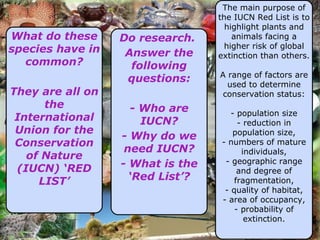 What do these species have in common? They are all on the International Union for the Conservation of Nature (IUCN)  ‘RED LIST’ Do research.  Answer the following questions: - Who are IUCN? - Why do we need IUCN? - What is the  ‘Red List’? The main purpose of the IUCN Red List is to highlight plants and animals facing a higher risk of global extinction than others. A range of factors are used to determine conservation status: - population size - reduction in population size, - numbers of mature individuals, - geographic range and degree of fragmentation, - quality of habitat, - area of occupancy, - probability of extinction. 