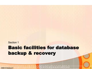 Topic 4 database recovery | PPTX