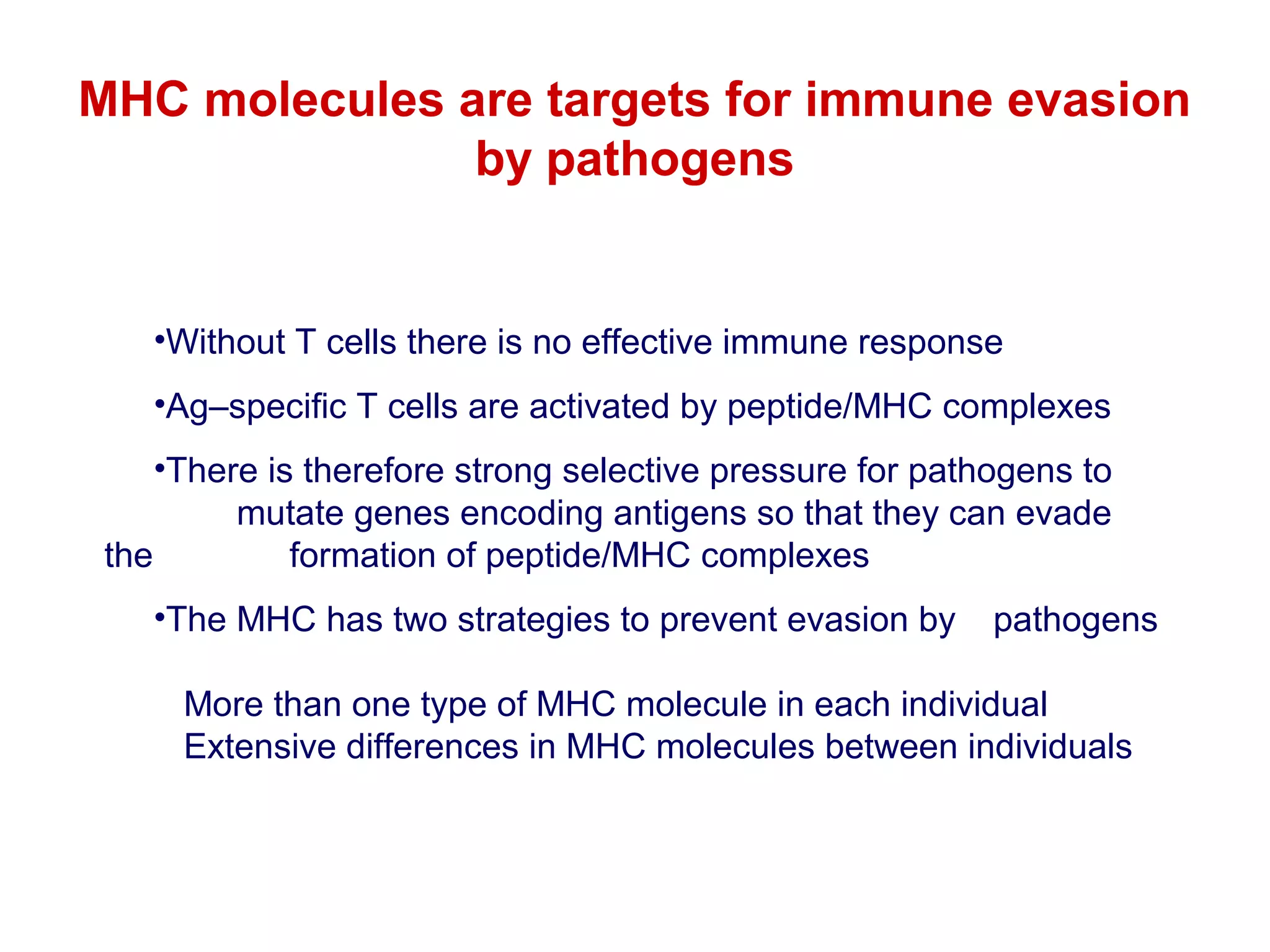 MHC molecules are targets for immune evasion
by pathogens

•Without T cells there is no effective immune response
•Ag–specific T cells are activated by peptide/MHC complexes
•There is therefore strong selective pressure for pathogens to
mutate genes encoding antigens so that they can evade
the
formation of peptide/MHC complexes
•The MHC has two strategies to prevent evasion by

pathogens

More than one type of MHC molecule in each individual
Extensive differences in MHC molecules between individuals

 