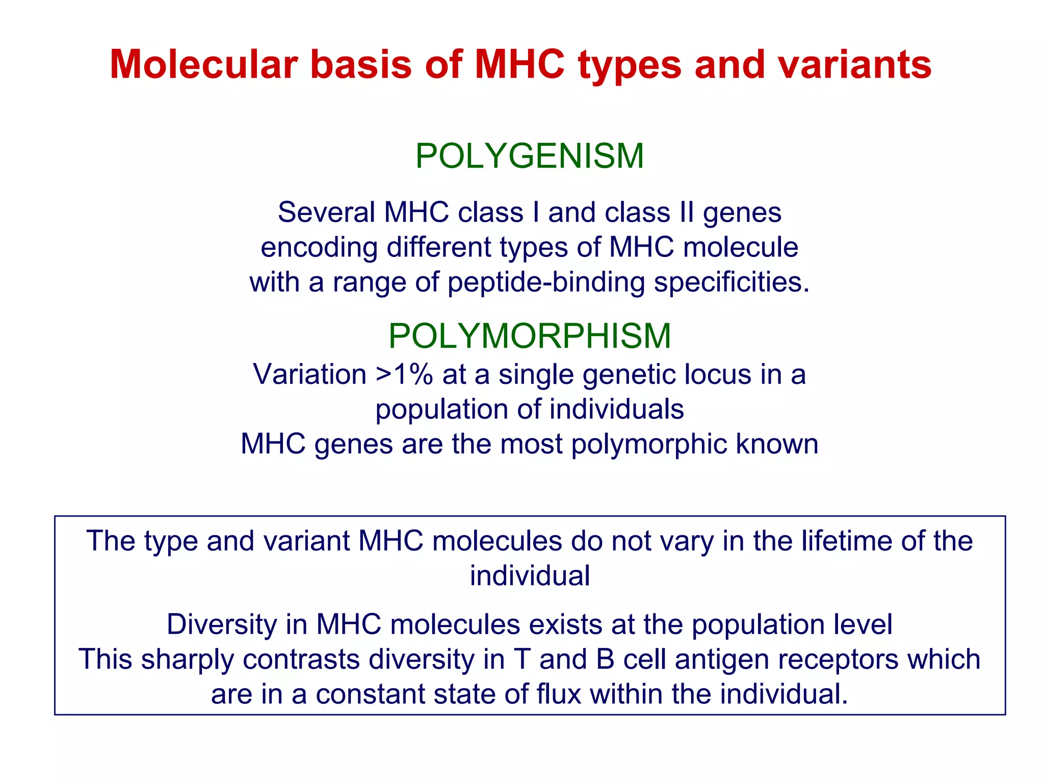 Molecular basis of MHC types and variants
POLYGENISM
Several MHC class I and class II genes
encoding different types of MHC molecule
with a range of peptide-binding specificities.

POLYMORPHISM
Variation >1% at a single genetic locus in a
population of individuals
MHC genes are the most polymorphic known
The type and variant MHC molecules do not vary in the lifetime of the
individual
Diversity in MHC molecules exists at the population level
This sharply contrasts diversity in T and B cell antigen receptors which
are in a constant state of flux within the individual.

 