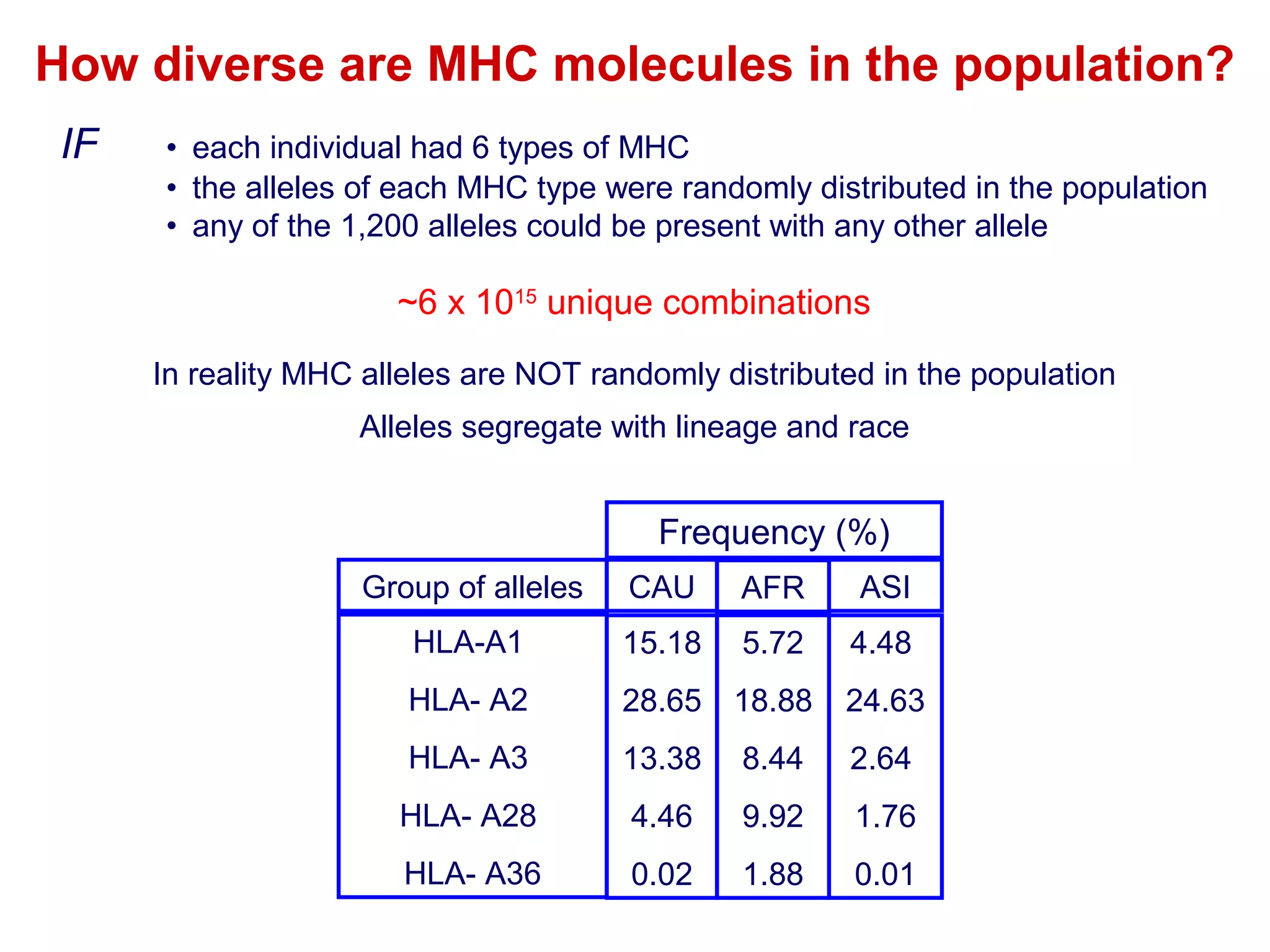 How diverse are MHC molecules in the population?
IF

• each individual had 6 types of MHC
• the alleles of each MHC type were randomly distributed in the population
• any of the 1,200 alleles could be present with any other allele

~6 x 1015 unique combinations
In reality MHC alleles are NOT randomly distributed in the population
Alleles segregate with lineage and race

Frequency (%)
Group of alleles

CAU

AFR

ASI

HLA-A1

15.18

5.72

4.48

HLA- A2

28.65 18.88

24.63

HLA- A3

13.38

8.44

2.64

HLA- A28

4.46

9.92

1.76

HLA- A36

0.02

1.88

0.01

 