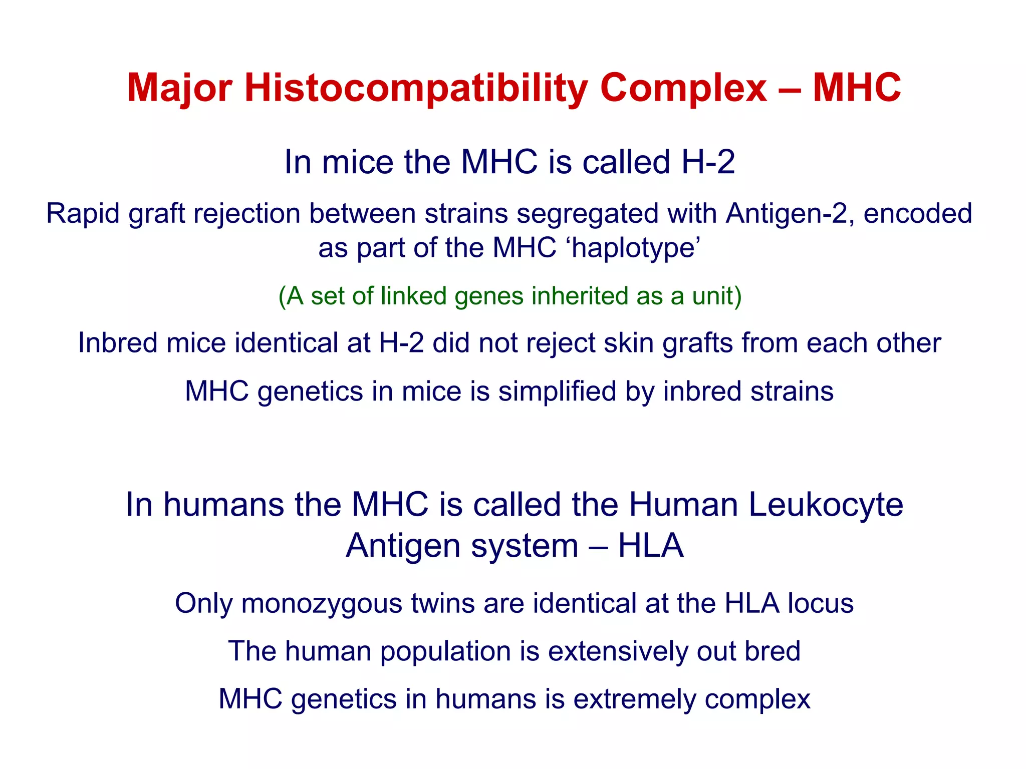 Major Histocompatibility Complex – MHC
In mice the MHC is called H-2
Rapid graft rejection between strains segregated with Antigen-2, encoded
as part of the MHC ‘haplotype’
(A set of linked genes inherited as a unit)

Inbred mice identical at H-2 did not reject skin grafts from each other
MHC genetics in mice is simplified by inbred strains

In humans the MHC is called the Human Leukocyte
Antigen system – HLA
Only monozygous twins are identical at the HLA locus
The human population is extensively out bred
MHC genetics in humans is extremely complex

 
