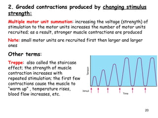 2. Graded contractions produced by changing stimulus
strength:
Multiple motor unit summation: increasing the voltage (strength) of
stimulation to the motor units increases the number of motor units
recruited; as a result, stronger muscle contractions are produced
Note: small motor units are recruited first then larger and larger
ones
Other terms:
Treppe: also called the staircase
effect; the strength of muscle
contraction increases with
repeated stimulation; the first few
contractions cause the muscle to
“warm up” , temperature rises,
blood flow increases, etc.
20
 