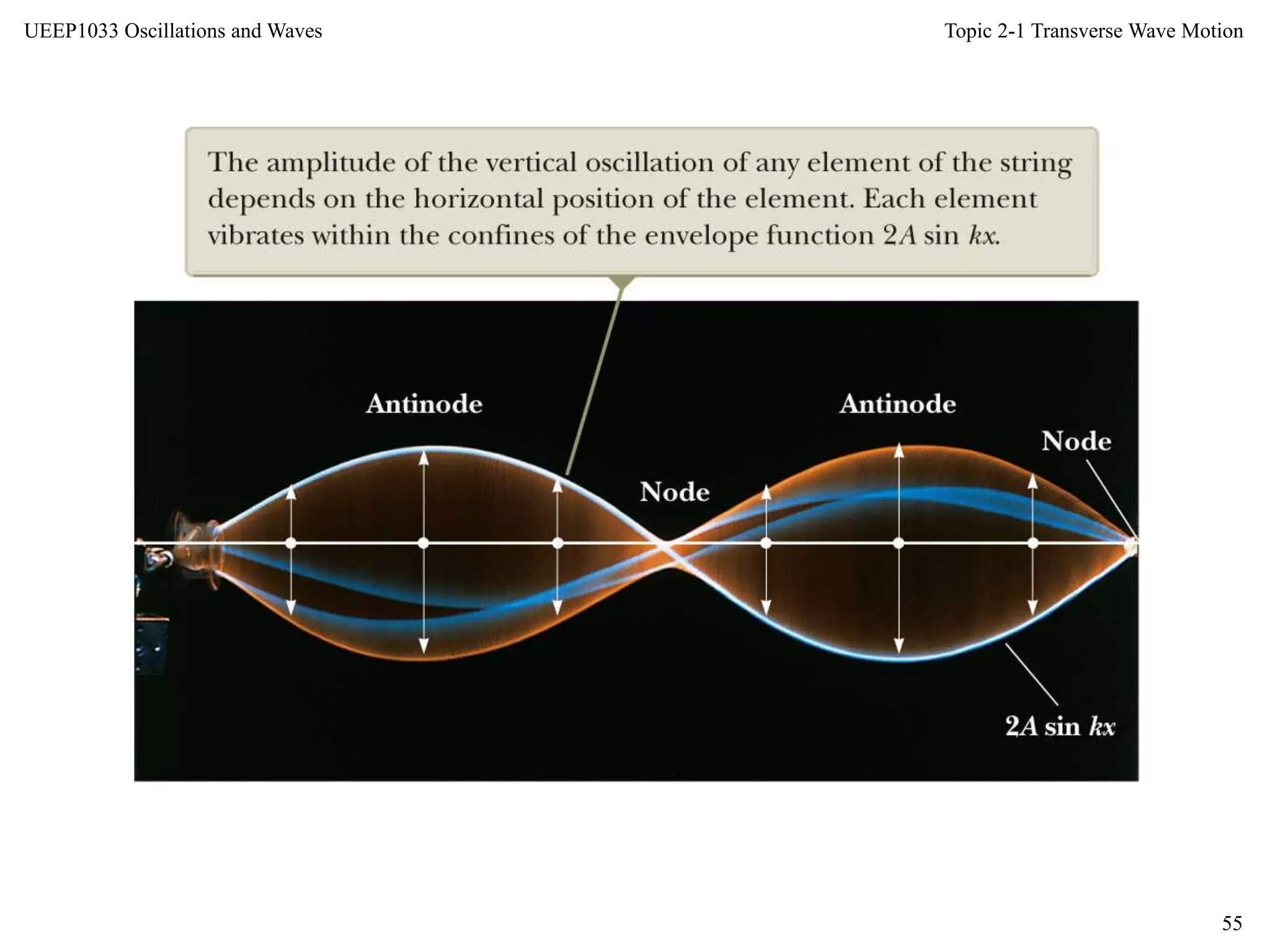 Topic 2-1 Transverse Wave Motion
55
UEEP1033 Oscillations and Waves
 