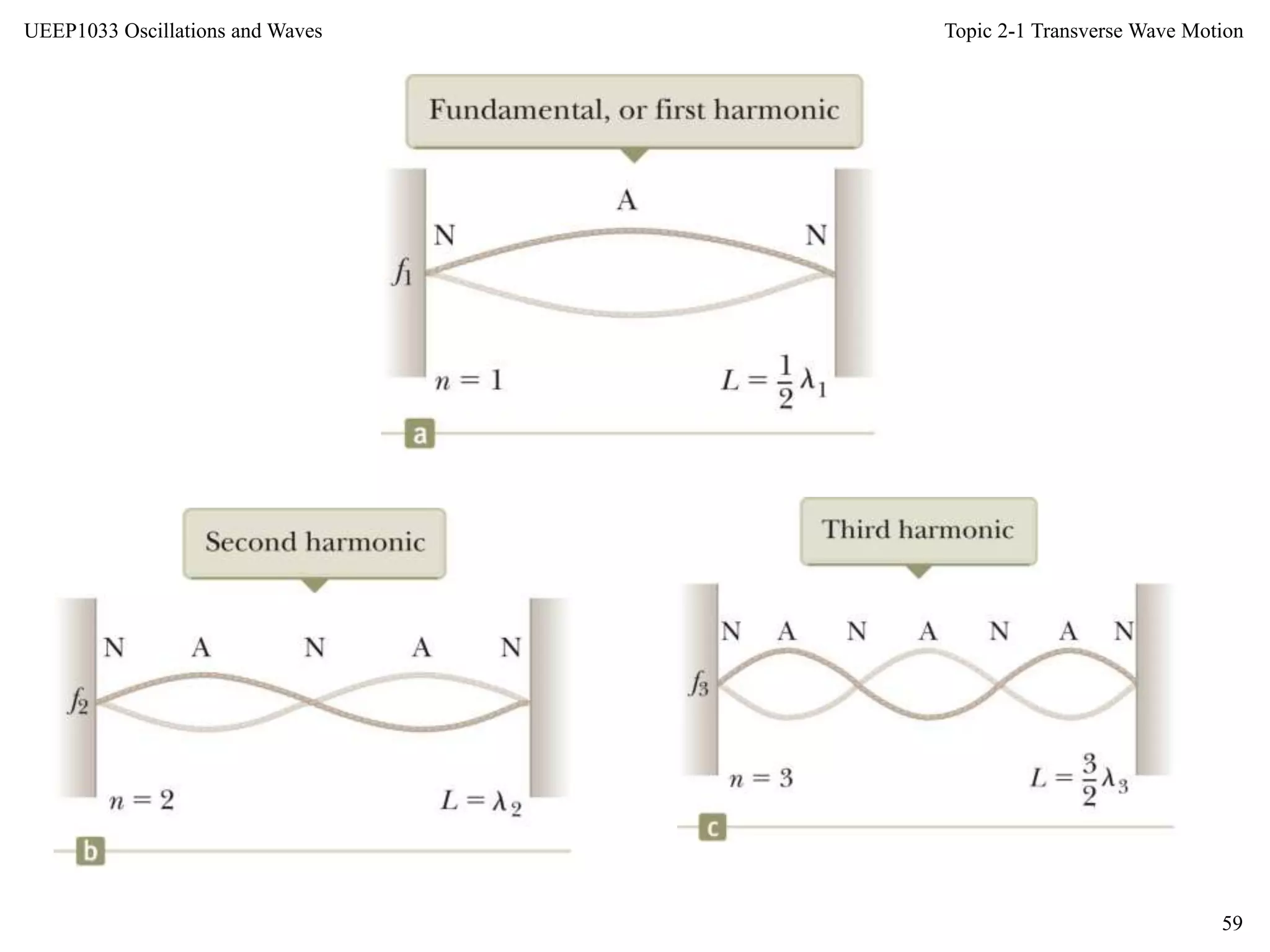 Topic 2-1 Transverse Wave Motion
59
UEEP1033 Oscillations and Waves
 
