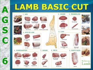 A
G
S
C
6
LAMB BASIC CUT
 