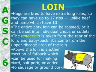 A
G
S
C
6
LOIN
Hogs are bred to have extra long loins, so
they can have up to 17 ribs — unlike beef
and lamb which have 13
The entire pork loin can be roasted, or it
can be cut into individual chops or cutlets
The tenderloin is taken from the rear of the
loin, and baby-back ribs come from the
upper ribcage area of the loin
Above the loin is another
section of fatback which
can be used for making
lard, salt pork, or added
to sausage or ground pork
 