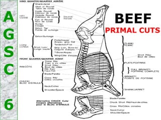 BEEFA
G
S
C
6
PRIMAL CUTS
 