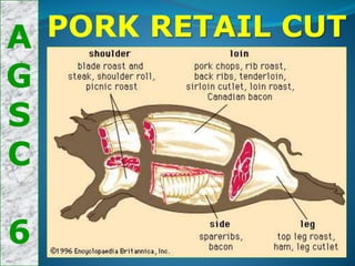 A
G
S
C
6
PORK RETAIL CUT
 