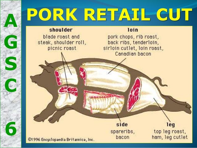 Image result for different types of retail cuts of swine