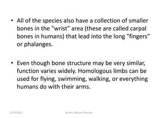 • All of the species also have a collection of smaller
bones in the "wrist" area (these are called carpal
bones in humans) that lead into the long "fingers"
or phalanges.
• Even though bone structure may be very similar,
function varies widely. Homologous limbs can be
used for flying, swimming, walking, or everything
humans do with their arms.
12/21/2017 By Mrs. Mariam Ohanyan
 