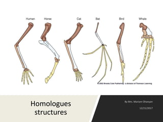 Homologues
structures
 