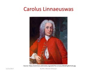 Carolus Linnaeuswas
12/21/2017 By Mrs. Mariam Ohanyan
Source: https://commons.wikimedia.org/wiki/File:LinnaeusWeddingPortrait.jpg
 