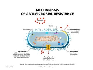 12/21/2017 By Mrs. Mariam Ohanyan
Source: http://biobunch.blogspot.am/2016/09/our-21st-century-apocalyse-rise-of.html
 