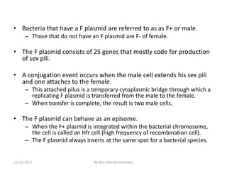 • Bacteria that have a F plasmid are referred to as as F+ or male.
– Those that do not have an F plasmid are F- of female.
• The F plasmid consists of 25 genes that mostly code for production
of sex pili.
• A conjugation event occurs when the male cell extends his sex pili
and one attaches to the female.
– This attached pilus is a temporary cytoplasmic bridge through which a
replicating F plasmid is transferred from the male to the female.
– When transfer is complete, the result is two male cells.
• The F plasmid can behave as an episome.
– When the F+ plasmid is integrated within the bacterial chromosome,
the cell is called an Hfr cell (high frequency of recombination cell).
– The F plasmid always inserts at the same spot for a bacterial species.
12/21/2017 By Mrs. Mariam Ohanyan
 