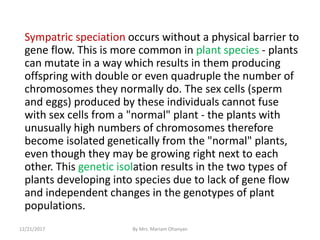 Sympatric speciation occurs without a physical barrier to
gene flow. This is more common in plant species - plants
can mutate in a way which results in them producing
offspring with double or even quadruple the number of
chromosomes they normally do. The sex cells (sperm
and eggs) produced by these individuals cannot fuse
with sex cells from a "normal" plant - the plants with
unusually high numbers of chromosomes therefore
become isolated genetically from the "normal" plants,
even though they may be growing right next to each
other. This genetic isolation results in the two types of
plants developing into species due to lack of gene flow
and independent changes in the genotypes of plant
populations.
12/21/2017 By Mrs. Mariam Ohanyan
 