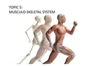TOPIC	
  5:	
  	
  
MUSCULO-­‐SKELETAL	
  SYSTEM	
  
 