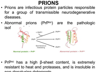 Prions Pathogen Microscope Topic 5 subviral pathogens | PPT