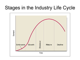 Stages in the Industry Life Cycle 