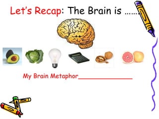 Let’s Recap: The Brain is ……..
My Brain Metaphor______________
 