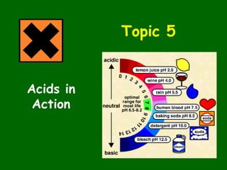 Topic 5 Acids in Action 